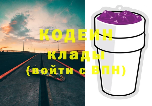 хмурый Арсеньев