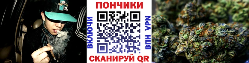 mega ONION  цена   Кировск  Бошки марихуана марихуана 